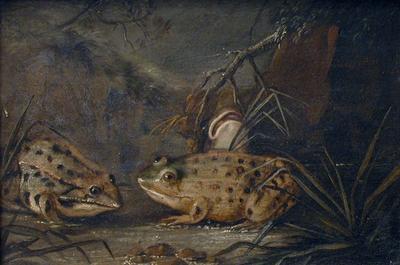 Three frogs on the shore